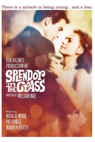 Splendor in the Grass 1961 Splendor in the Grass 1961