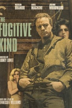 The Fugitive Kind 1960 The Fugitive Kind 1960