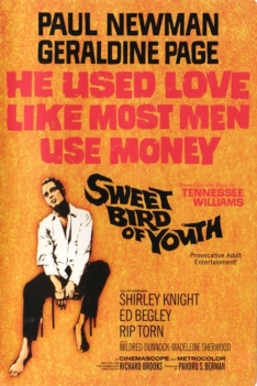 Sweet Bird of Youth 1962 Sweet Bird of Youth 1962