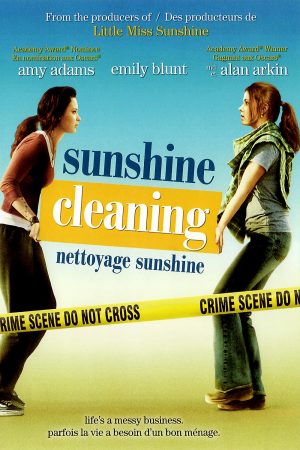 Sunshine Cleaning 2008